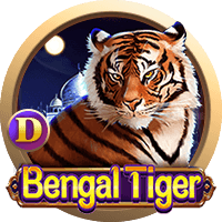 Indian Divine Tiger